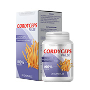 Cordyceps Pulse DE lungs
